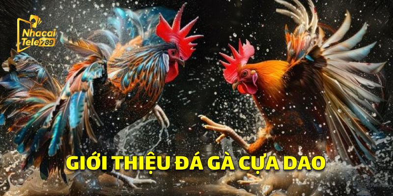 Đá Gà Cựa Dao - Bí Kíp Chơi Online Hiệu Quả Tại Tele789 1 Giới Thiệu Đá Gà Cựa Dao