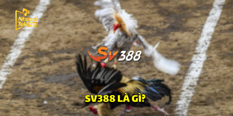 SV388 - Bí Quyết Chơi Đá Gà Online Hiệu Quả 1 Giới Thiệu SV388