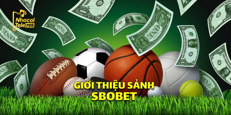 SBOBET - Cá Cược Thể Thao Đỉnh Cao Tại Tele789 1 Giới Thiệu Sảnh SBOBET