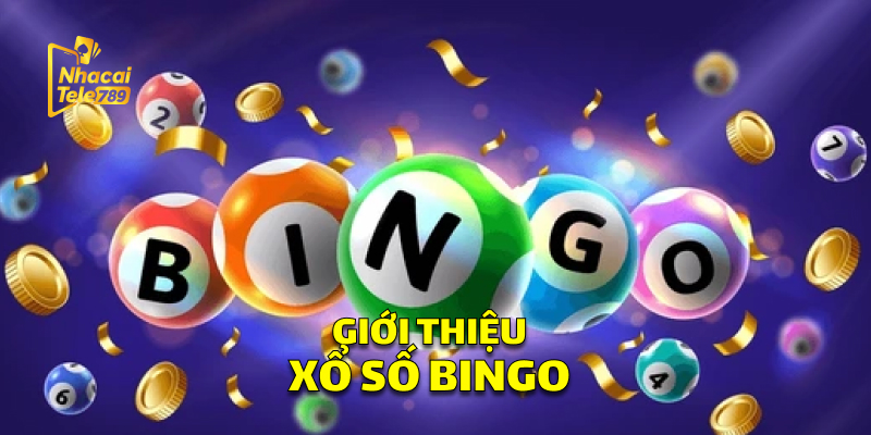 Xổ Số Bingo - Trải Nghiệm Thú Vị Tại Tele789 1 Giới Thiệu Xổ Số Bingo