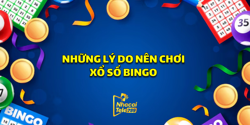 Xổ Số Bingo - Trải Nghiệm Thú Vị Tại Tele789 3 Những Lý Do Nên Chơi Xổ Số Bingo