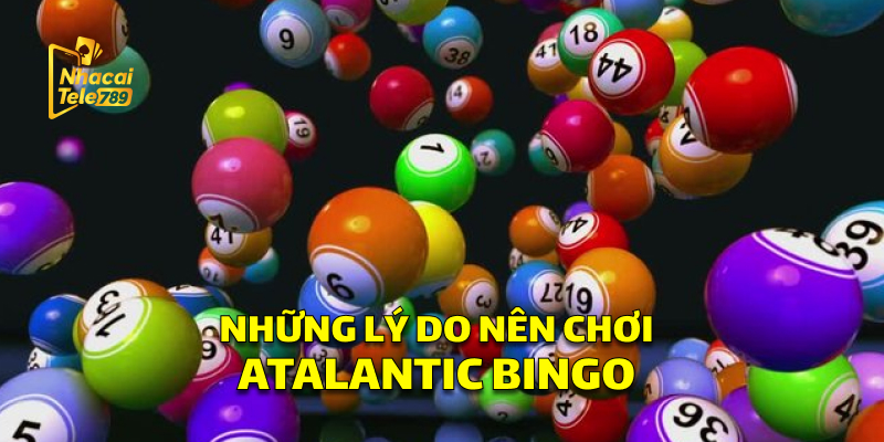 Atalantic Bingo - Trải Nghiệm Xổ Số Đỉnh Cao Tại Tele789 3 Những Lý Do Nên Chơi Atalantic Bingo
