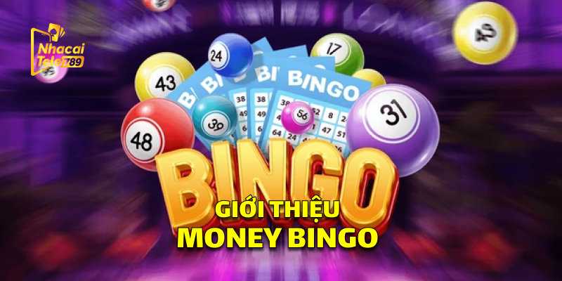Money Bingo - Chinh Phục Xổ Số Đỉnh Cao Tại Tele789 1 Giới Thiệu Money Bingo