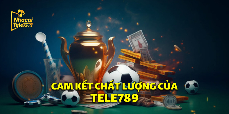 Cam kết chất lượng của nhà cái Tele789
